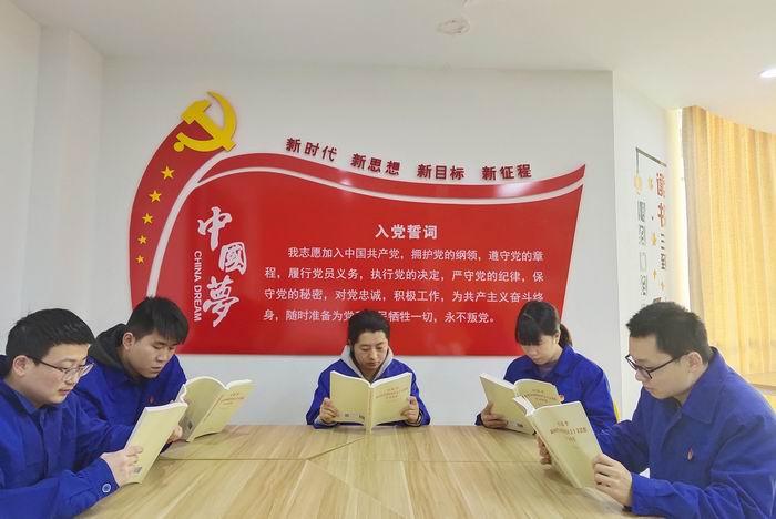 险峰团员在入党誓词下学习《习近平新时代新时代中国特色社会主义思想学习问答》.jpg